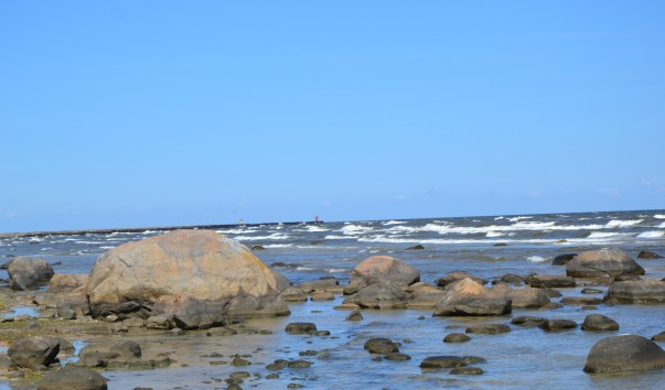DSC_4850