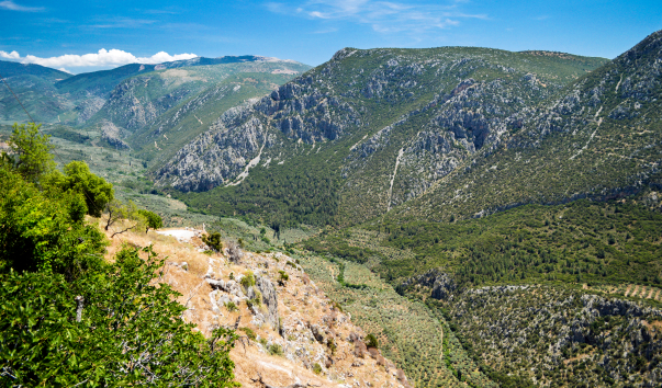 _DSC0572