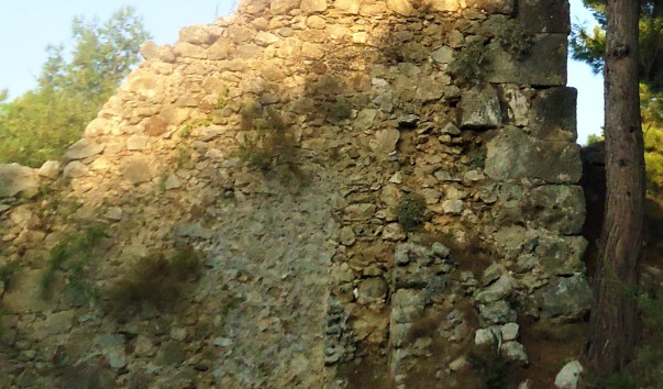 DSC02790